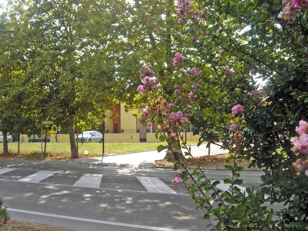Residence Mediterraneo Lido delle Nazioni Pokój zdjęcie